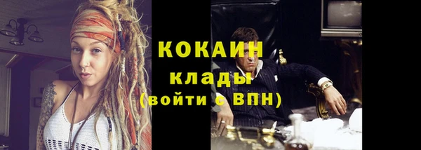 крисы Сосновка
