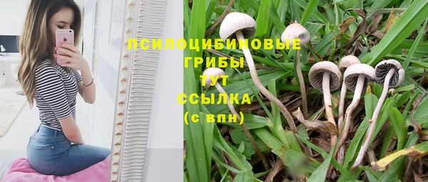 соль курить ск Баксан